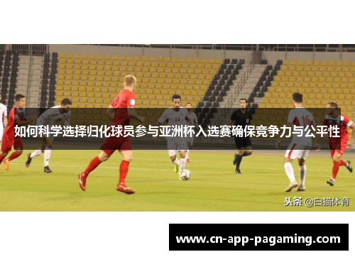 如何科学选择归化球员参与亚洲杯入选赛确保竞争力与公平性