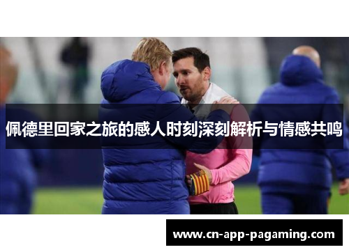 佩德里回家之旅的感人时刻深刻解析与情感共鸣