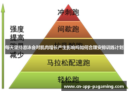 每天坚持游泳会对肌肉增长产生影响吗如何合理安排训练计划