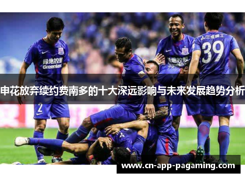申花放弃续约费南多的十大深远影响与未来发展趋势分析