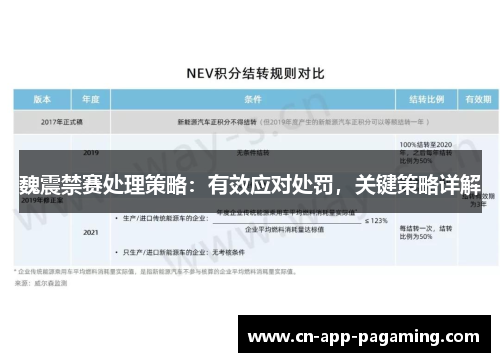 魏震禁赛处理策略：有效应对处罚，关键策略详解