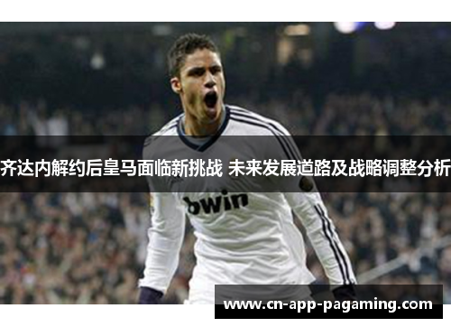齐达内解约后皇马面临新挑战 未来发展道路及战略调整分析 齐达内解约后皇马面临新挑战 未来发展道路及战略调整分析