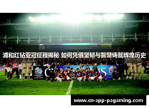 浦和红钻亚冠征程揭秘 如何凭借坚韧与智慧铸就辉煌历史