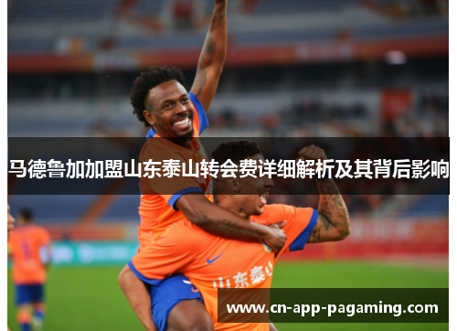 马德鲁加加盟山东泰山转会费详细解析及其背后影响