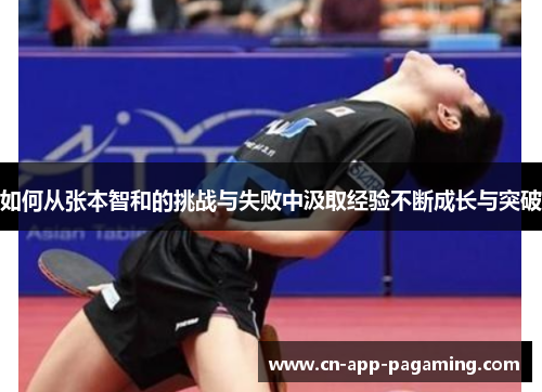 如何从张本智和的挑战与失败中汲取经验不断成长与突破