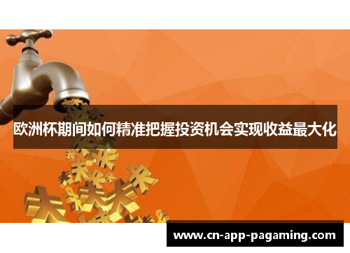 欧洲杯期间如何精准把握投资机会实现收益最大化
