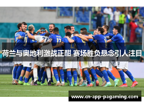 荷兰与奥地利激战正酣 赛场胜负悬念引人注目